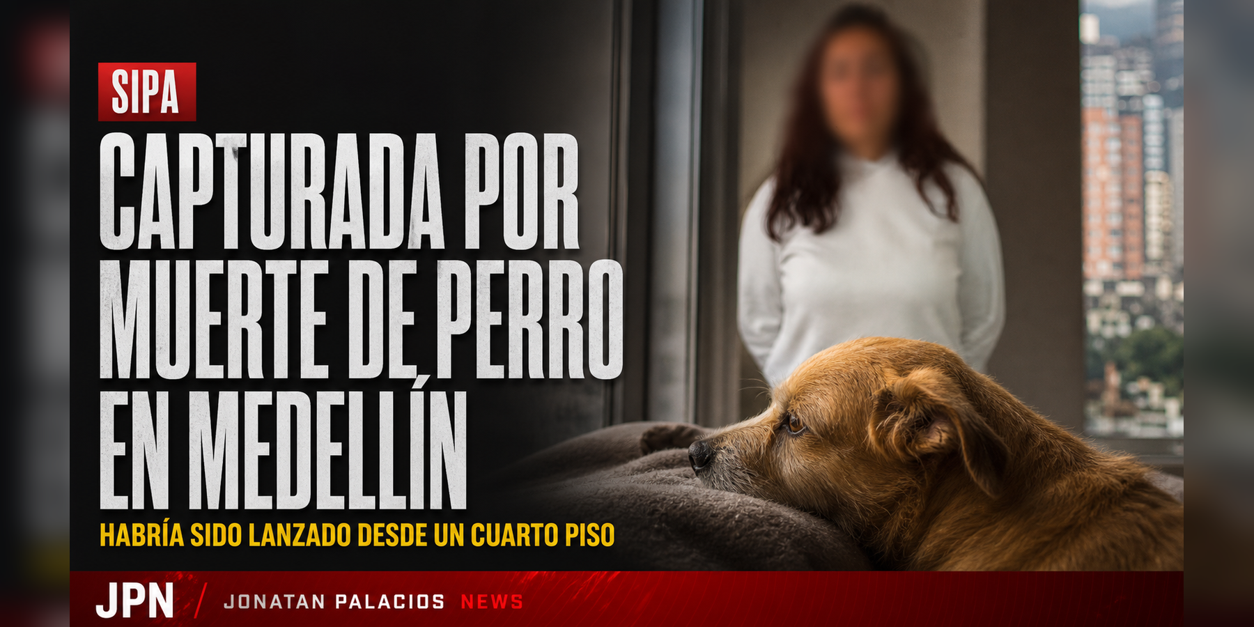 Capturan en Medellín a mujer señalada de lanzar a un perro desde un cuarto piso