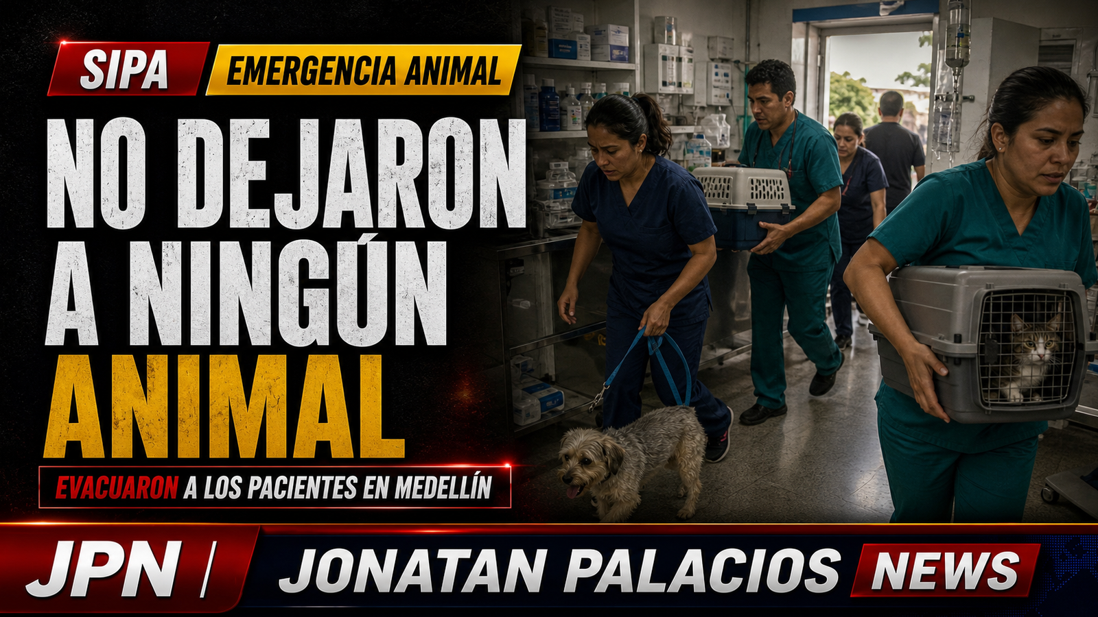 Nadie quedó atrás: una veterinaria de Medellín evacuó a sus pacientes animales durante el terremoto