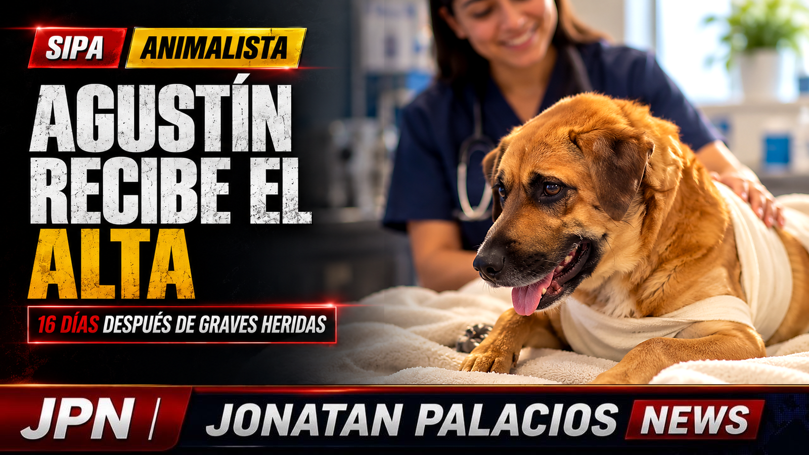 Agustín deja la internación tras 16 días: la recuperación no borra la mutilación en Merlo