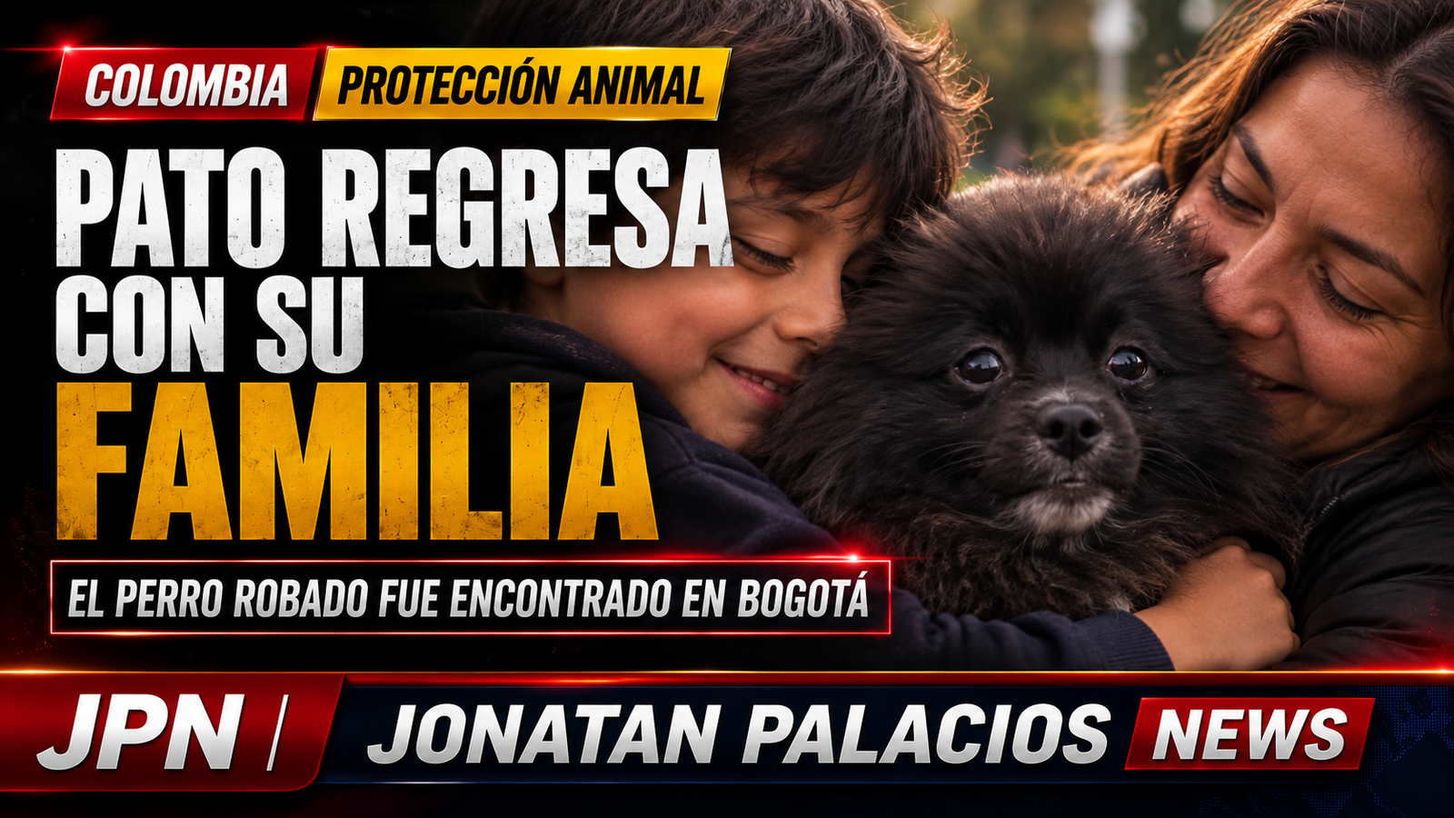 Pato regresó a casa tras ocho días: la Policía busca a quienes lo hurtaron en Suba